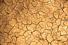 parched